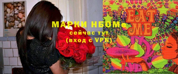 СК Медногорск