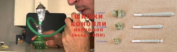 СК Медногорск