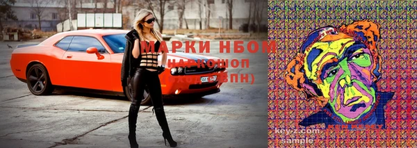 СК Медногорск