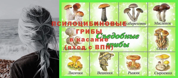 герыч Протвино