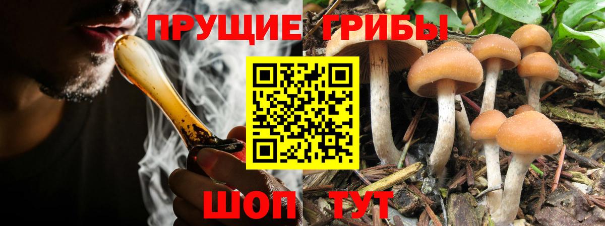 дарнет шоп  Галлюциногенные грибы MAGIC MUSHROOMS  Вход с VPN  Джанкой 