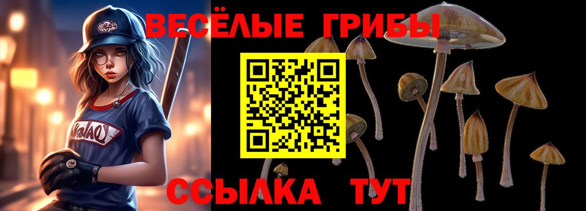 Псилоцибиновые грибы Psilocybe Джанкой