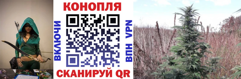 купить наркоту  Джанкой  Канабис сатива 